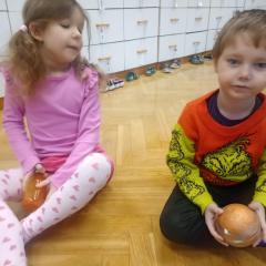 IMG_20241211_084442770-scaled