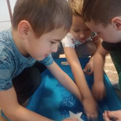 IMG_20241211_091427993-scaled