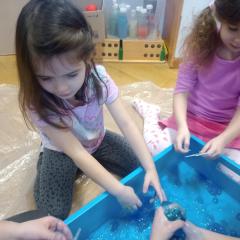 IMG_20241211_091451533-scaled